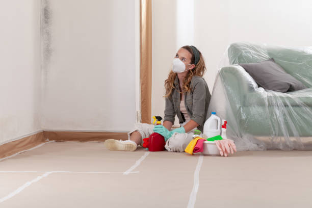 Reliable Mold Remediation contractor in Huntington, TX by Cheap Mold Removal
